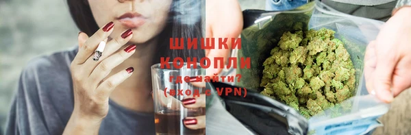 гидра Абаза