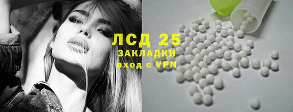 гидра Абаза