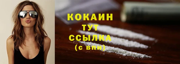 гидра Абаза