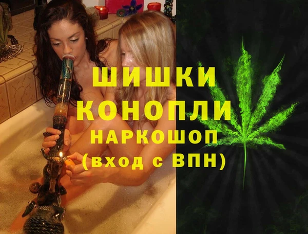 гидра Абаза