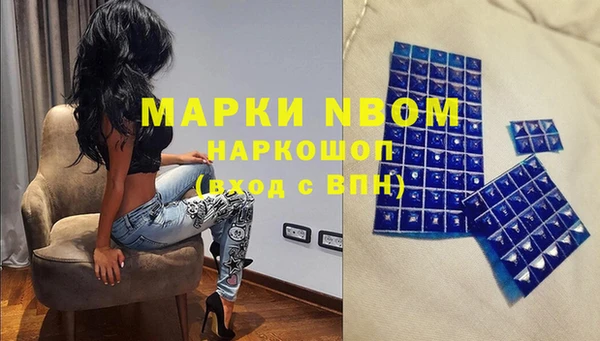 гидра Абаза