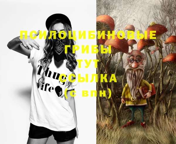 мет Абинск