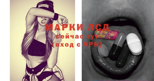 гидра Абаза