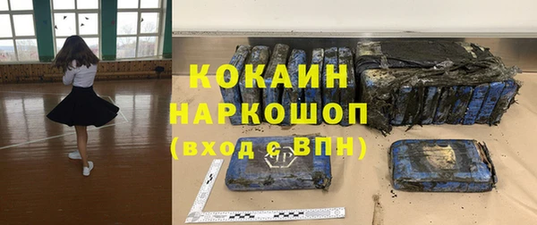 гидра Абаза