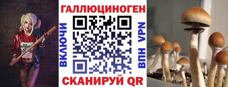 купить наркоту  Стрежевой  Псилоцибиновые грибы Cubensis 